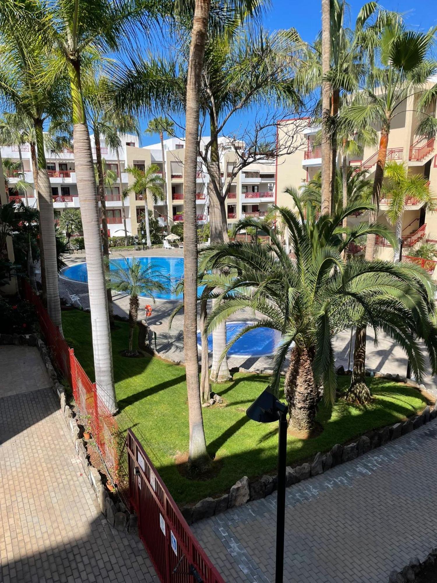El Bohemia Palm-mar